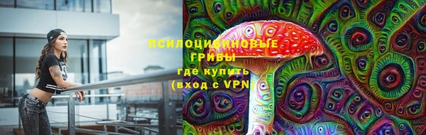 дурь Костерёво