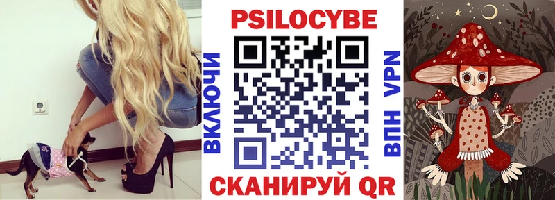 магазин продажи наркотиков  blacksprut как войти  Галлюциногенные грибы мухоморы  Электросталь 