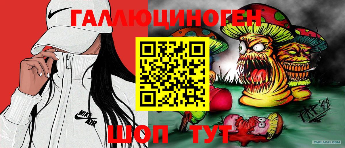 Галлюциногенные грибы Psilocybine cubensis Электросталь